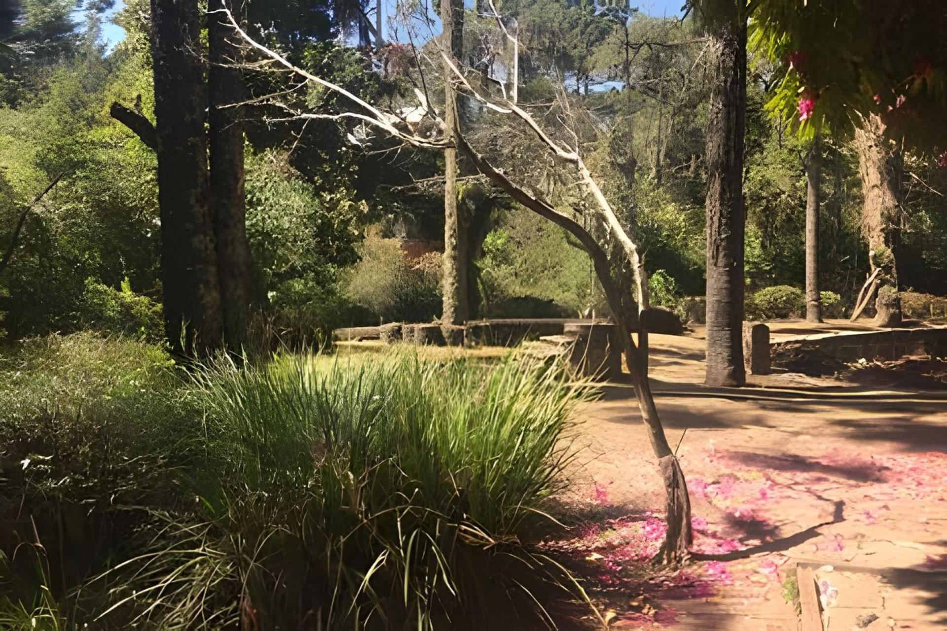 Cabana Suspensa Na Natureza - Regiao Turistica Campos do Jordão Exteriör bild